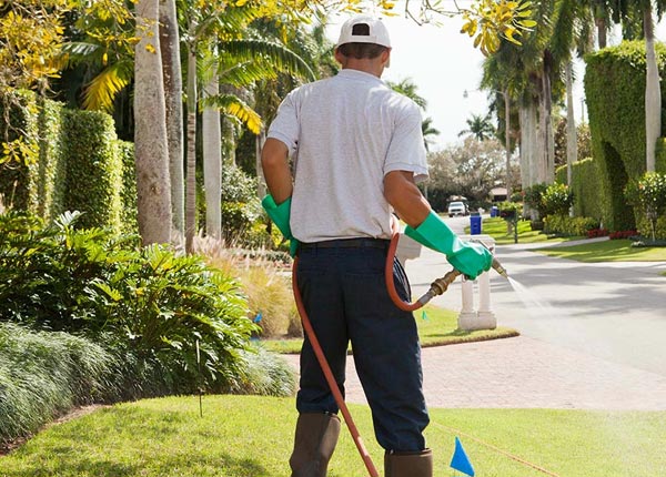 About Fredericksburg TX Pest Control